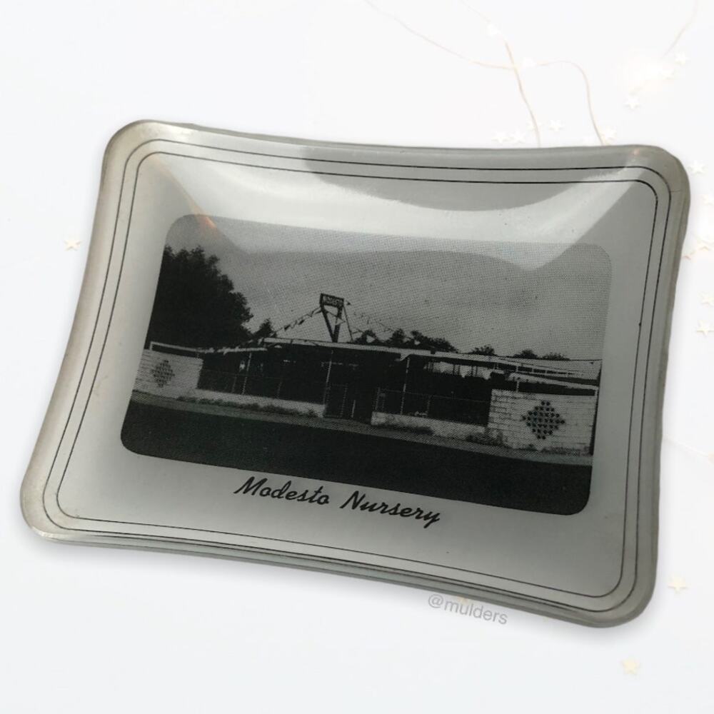 Vintage Modesto Nursery Graphic California Memorabilia Glass Catchall Plate Dish
